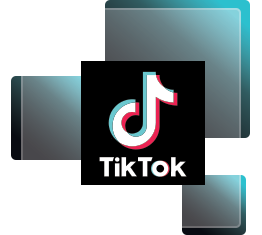 TikTok Video Downloader